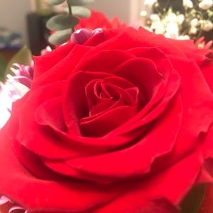 Meet your Posher, Georgia